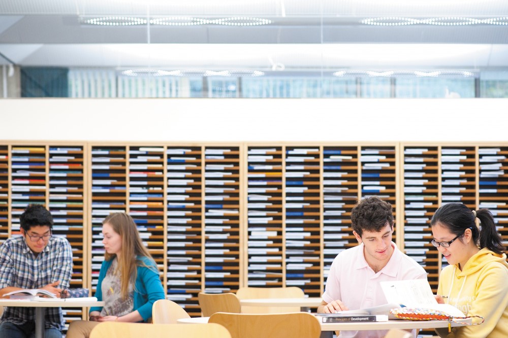 Students working in the Library