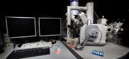 Our FIB-SEM can perform a multitude of sample preparation, handling and imaging proceedures.