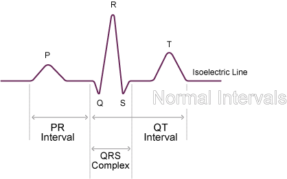 Normal Duration Times - Normal Function of the Heart - Cardiology