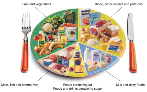 diagram of healthy diet makeup