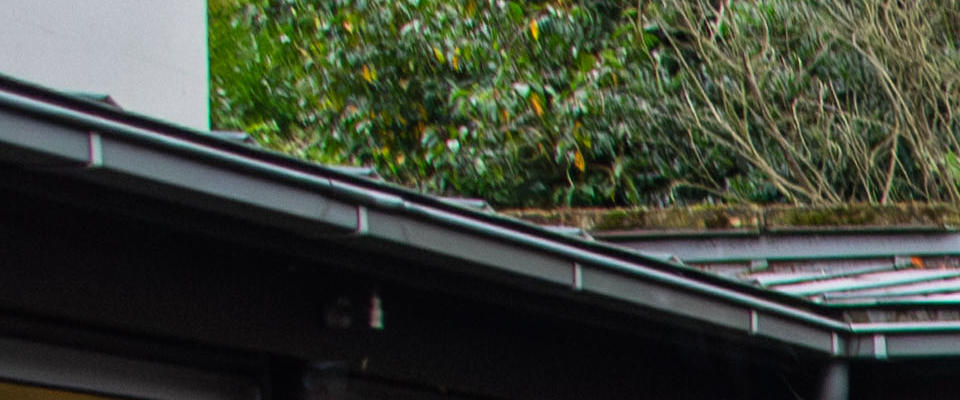 Image of group of people in courtyard