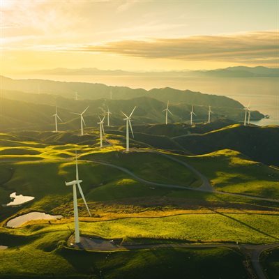 A picutre of wind turbines in a green space