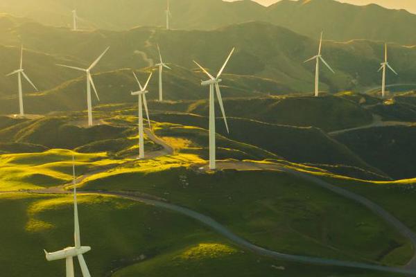 A picutre of wind turbines in a green space