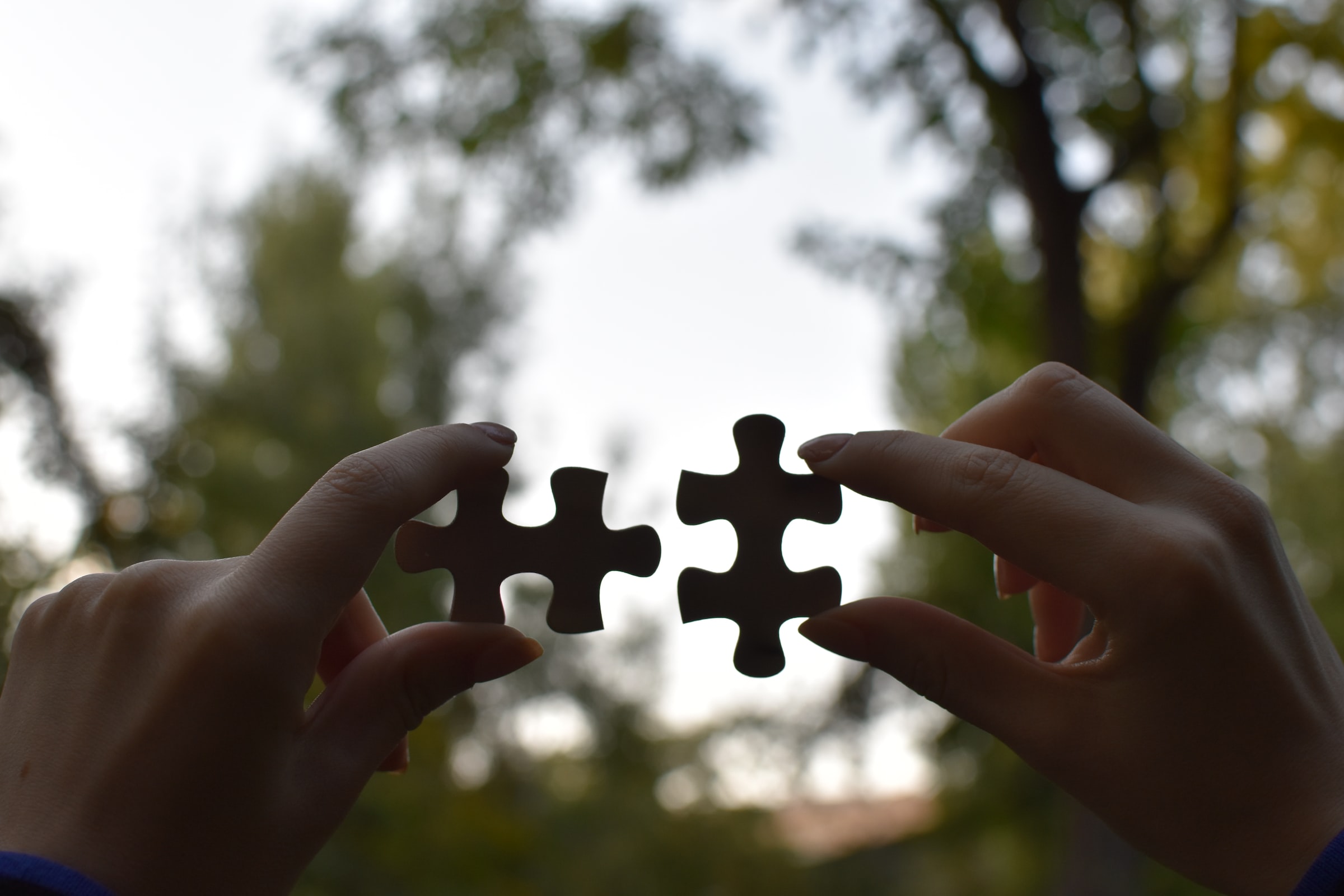 Close up of hands holding two puzzle pieces together with trees behind