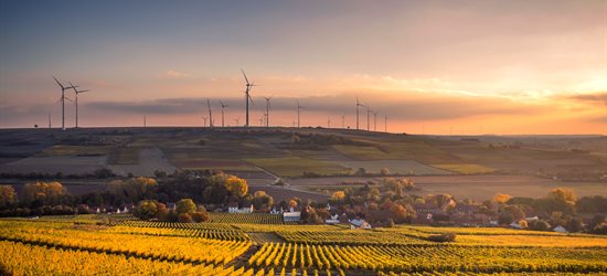 Wind turbines in fields against the sunset