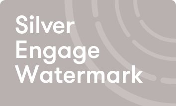 Silver Watermark Logo