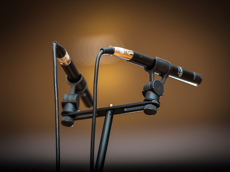 Two microphones on mic stands