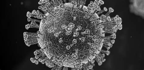Greyscale corona virus cell