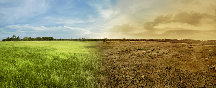 stylized image of a dry land against a lush green landscape