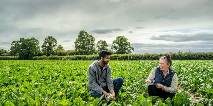 Researchers collecting data at the farm