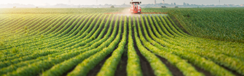 Picture of a farm and workers