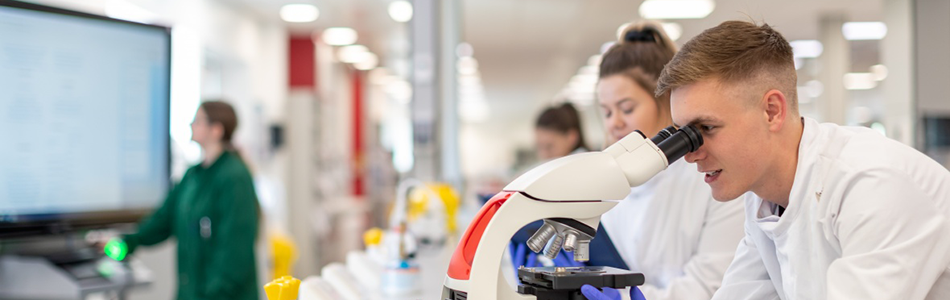 Students using lab equipment