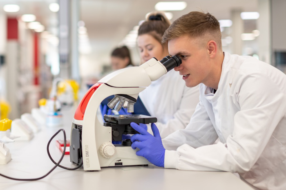 Students working in a lab