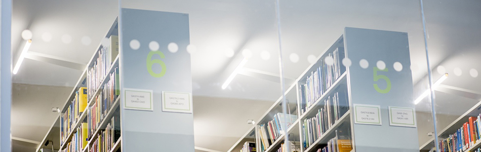 Shelves at George Green Library