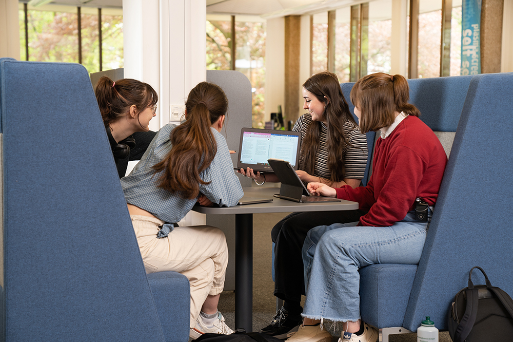 Students working together in the library