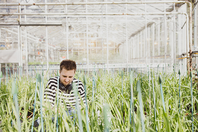 PhD student researching fertility in wheat