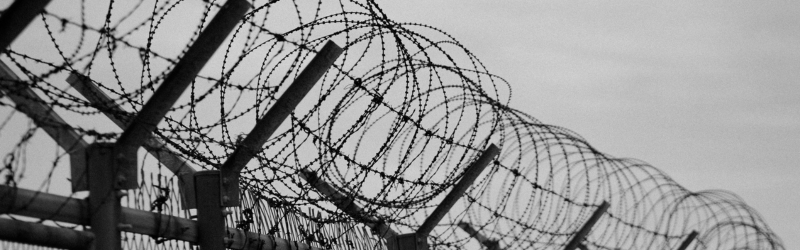 Photograph of barbed wire
