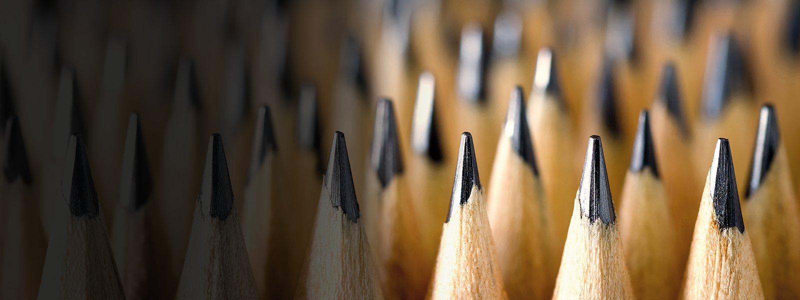 Close up image of rows of sharpened pencil tips