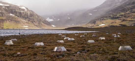 Photo of research taking place next  to glacier in northern Sweden.