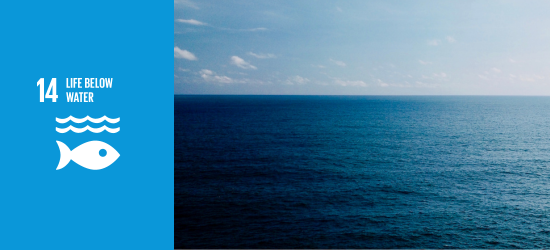 SDG 14 icon with photo of the ocean
