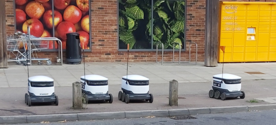 Photo of robots outside store.